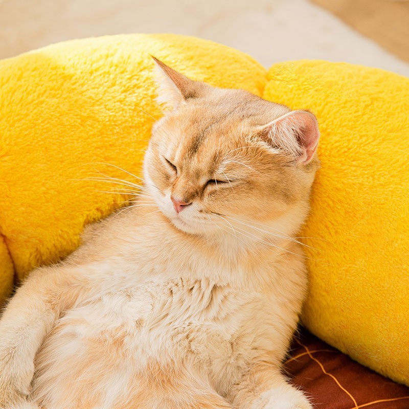 New Cat Nest Mat Pet Products 
