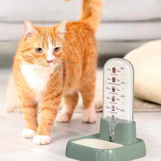 Cat & Dog Water Fountain 